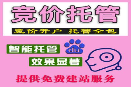行业标杆的SEM竞价营销案例研究